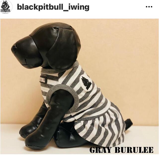 ドッグウエア BLACKPITBULL その他のペット用品(犬)の商品写真