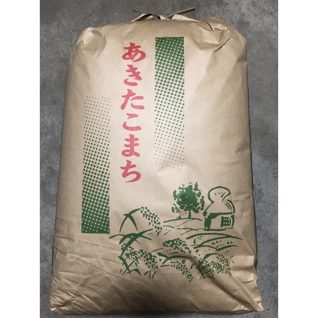 あきたこまち　米/穀物　玄米20kg　白米か無洗米　令和ま4年　秋田県産