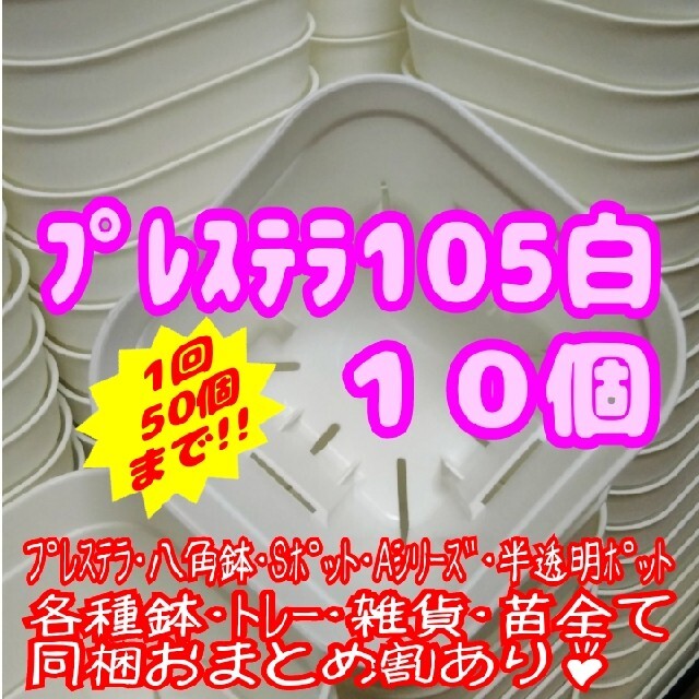 【スリット鉢】プレステラ105白10個 多肉植物 プラ鉢 ハンドメイドのフラワー/ガーデン(プランター)の商品写真
