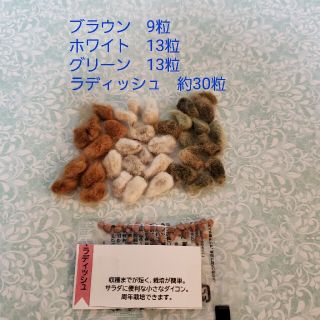 綿花の種　茶、白、緑　３種　ラディッシュの種(その他)