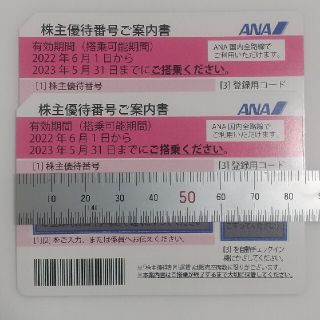 エーエヌエー(ゼンニッポンクウユ)(ANA(全日本空輸))の表の9様 専用ANA株主優待券2枚 & グループ優待券(その他)