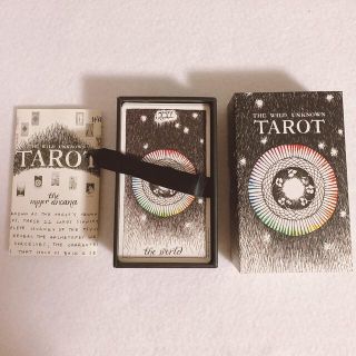 ワイルドアンノウンタロットカード THE WILD UNKNOWN TAROT(趣味/スポーツ/実用)