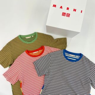 マルニ ボーダー Tシャツ