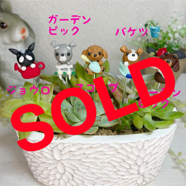 ハンドメイド　ガーデンピック　ガーデングッズとワンちゃんピック　多肉植物 ハンドメイドのフラワー/ガーデン(その他)の商品写真