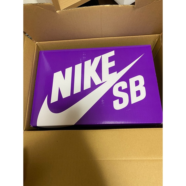 NIKE(ナイキ)のNike SB Dunk Low PRM Brown Paisley 27.5 メンズの靴/シューズ(スニーカー)の商品写真