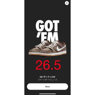 ナイキ(NIKE)の26.5 Nike SB Dunk Low PRM Brown Paisley(スニーカー)