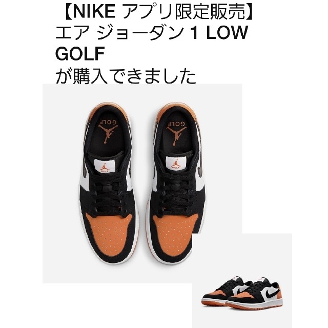 Nike Air Jordan 1 Low Golf 27.5cm