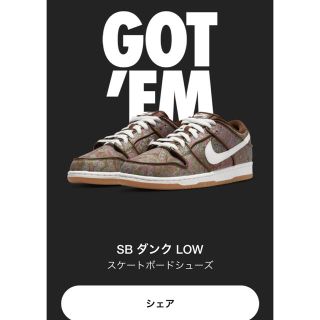 ナイキ(NIKE)のNike SB Dunk Low PRM Brown Paisleyペイズリー(スニーカー)