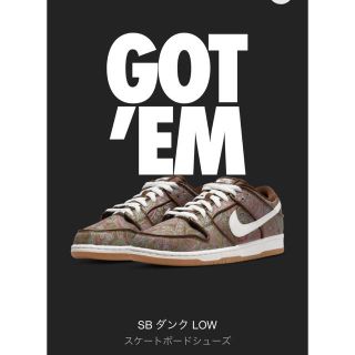 ナイキ(NIKE)のNIKE SB ダンク LOW ペイズリー 27cm DUNK paisley(スニーカー)