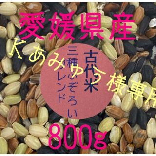 Ｋあみゅう様専用　古代米3種ふぞろいブレンド　愛媛県産　800ｇ(米/穀物)