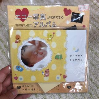 エコー写真アルバム(アルバム)