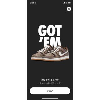 ナイキ(NIKE)のNike SB Dunk Low PRM "Brown Paisley"27.5(スニーカー)