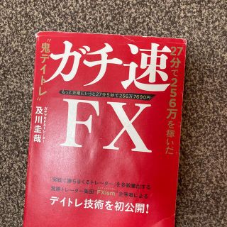 ガチ速ＦＸ ２７分で２５６万を稼いだ“鬼デイトレ”(ビジネス/経済)