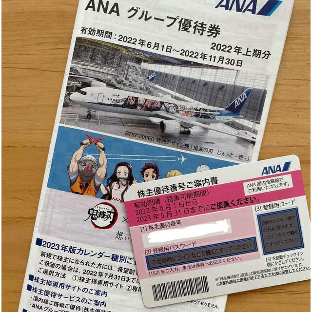 ANAグループ優待券 2023.5.31まで