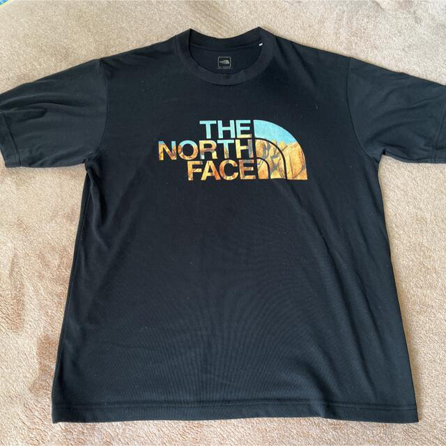 THE NORTH FACE(ザノースフェイス)のTHE ノースフェイス Tシャツ　L メンズのトップス(Tシャツ/カットソー(半袖/袖なし))の商品写真