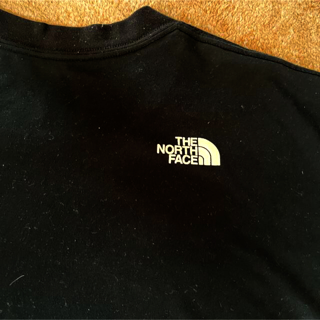 THE NORTH FACE(ザノースフェイス)のTHE ノースフェイス Tシャツ　L メンズのトップス(Tシャツ/カットソー(半袖/袖なし))の商品写真
