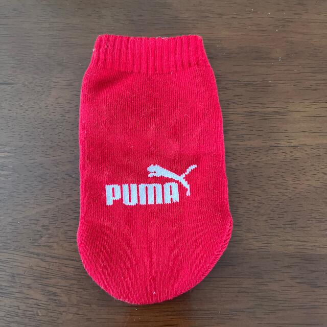 PUMA(プーマ)のプーマペットボトルカバー スポーツ/アウトドアのスポーツ/アウトドア その他(その他)の商品写真