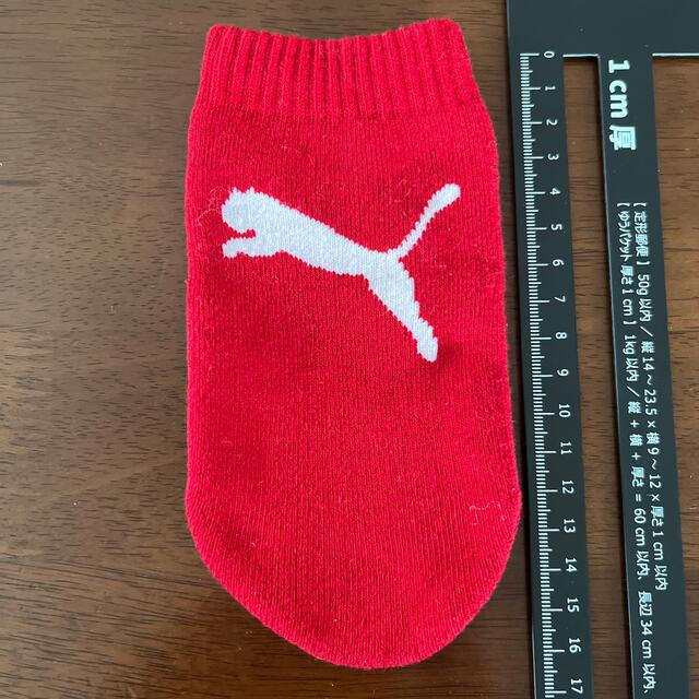 PUMA(プーマ)のプーマペットボトルカバー スポーツ/アウトドアのスポーツ/アウトドア その他(その他)の商品写真