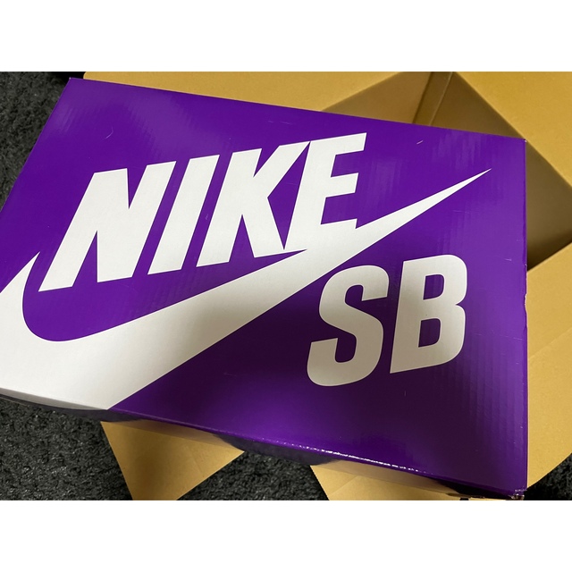 Nike SB Dunk Low PRM Brown Paisley 29.0 5