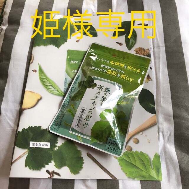 新品未開封　和漢の森 桑の葉&茶カテキンの恵み　120粒　冊子付 コスメ/美容のダイエット(ダイエット食品)の商品写真