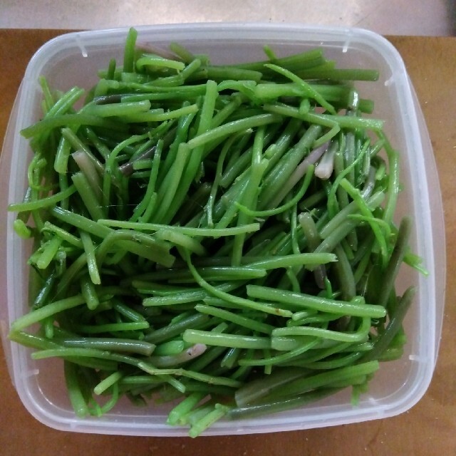 山菜　ミズ　ゆうパケットポストいっぱい! 食品/飲料/酒の食品(野菜)の商品写真