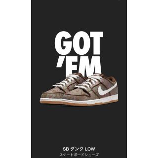 ナイキ(NIKE)のNike SB Dunk Low PRM "Brown Paisley" (スニーカー)