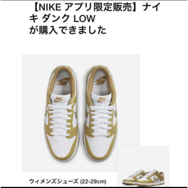 NIKE(ナイキ)のNike WMNS Dunk Low ESS "Barley Paisley" メンズの靴/シューズ(スニーカー)の商品写真