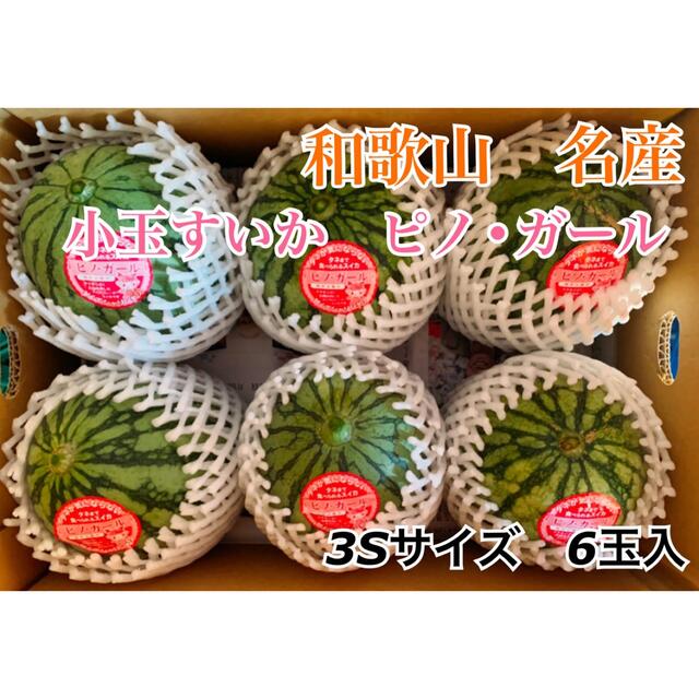 和歌山県産　食べきりサイズ 小玉スイカ みかんキング 食品/飲料/酒の食品(フルーツ)の商品写真