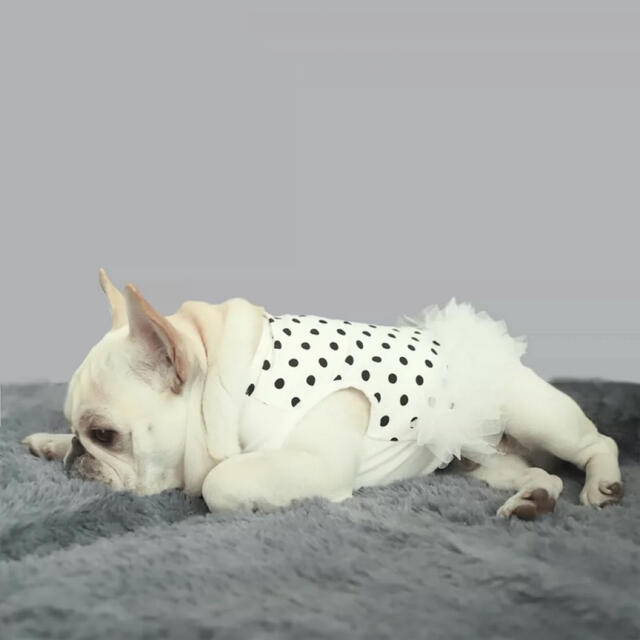 大きな取引 フレンチブル様 専用 mahalidz.com