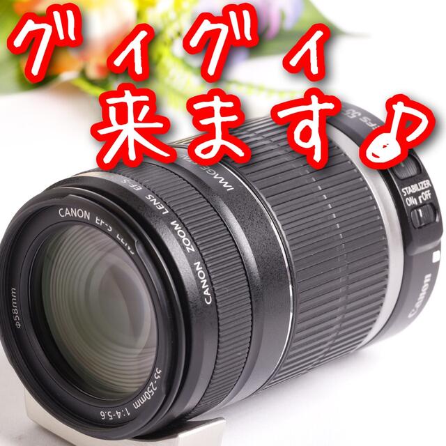 キャノン望遠レンズ⭐️EF-S 55-250mm手ブレ補正つき⭐️