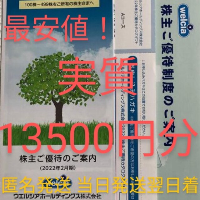 最安値！最新ウェルシア株主優待9000円分 匿名発送 当日発送翌日到着 ...