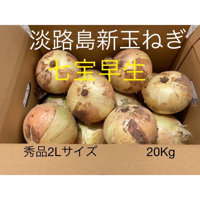 ⭕️秀品2Lサイズ20Kg⭕️淡路島新玉ねぎ　たまねぎ　玉葱 食品/飲料/酒の食品(野菜)の商品写真