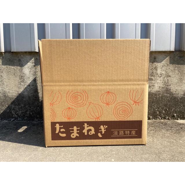 ⭕️秀品2Lサイズ20Kg⭕️淡路島新玉ねぎ　たまねぎ　玉葱 食品/飲料/酒の食品(野菜)の商品写真