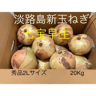 ⭕️秀品2Lサイズ20Kg⭕️淡路島新玉ねぎ　たまねぎ　玉葱(野菜)