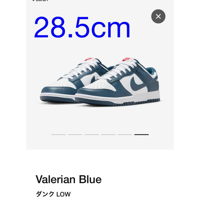 Nike Dunk Low "Valerian Blue" 28.5cm