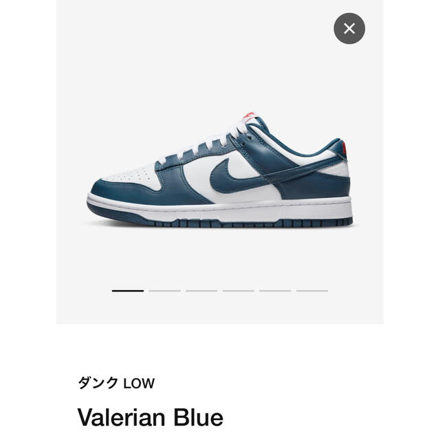 Nike Dunk Low "Valerian Blue" 28.5cm