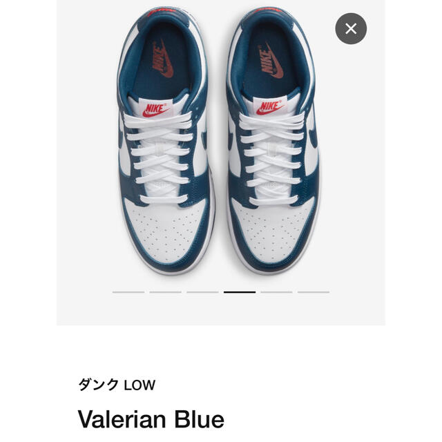 Nike Dunk Low "Valerian Blue" 28.5cm