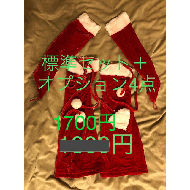 SM1606様【専用】ミニサンタ C24PP/YT 3点750円 レディースのトップス(Tシャツ(半袖/袖なし))の商品写真