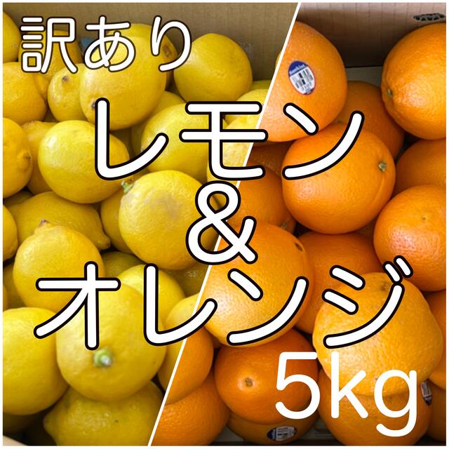 レモン　オレンジ　5kg詰め合わせ 食品/飲料/酒の食品(フルーツ)の商品写真