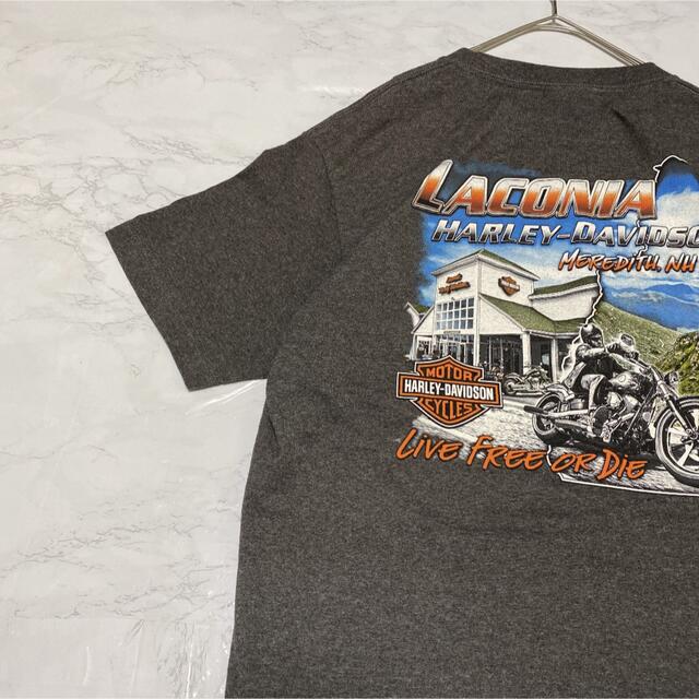 Harley Davidson - Tシャツ ハーレーダビッドソン 激レア 風景 レトロ 