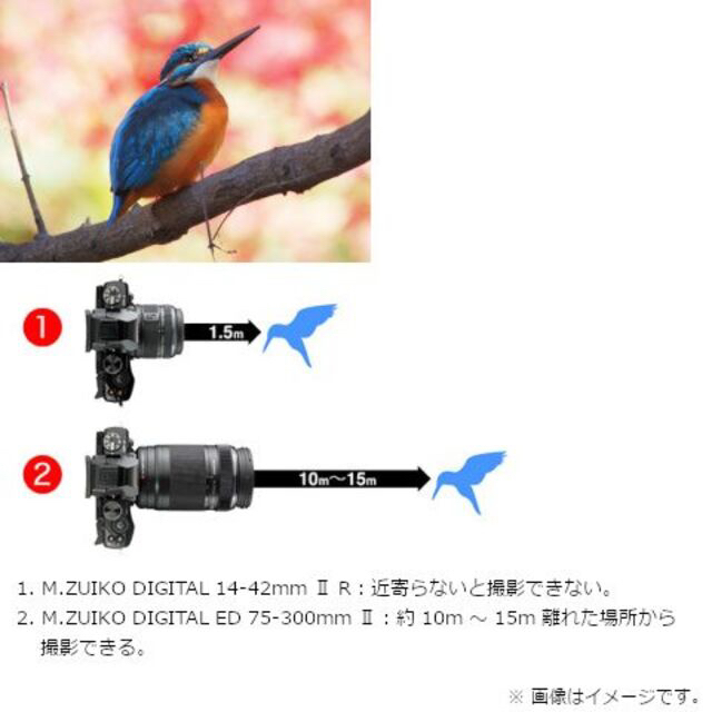 OLYMPUS(オリンパス)の【新品】オリンパス M.ZUIKO ED 75-300mm F4.8-6.7 I スマホ/家電/カメラのカメラ(レンズ(ズーム))の商品写真