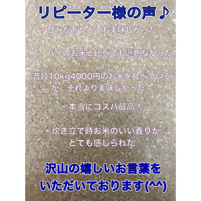【数量限定】大特価セール!コスパ米20kg(5kg×4袋) 新米 お米 白米