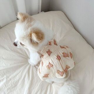 犬服　くまさんキャミ　小さめＭ　新品　夏の新作　可愛いペット服　匿名配送(犬)