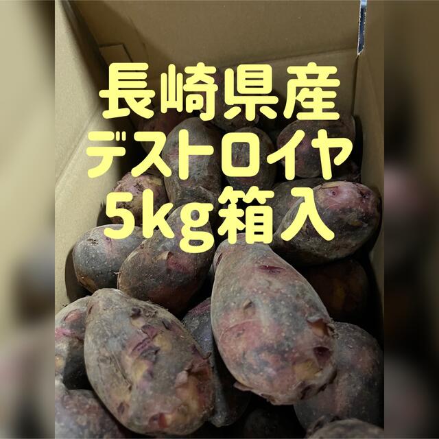 長崎県産新じゃがいも デストロイヤ 5kg箱入 食品/飲料/酒の食品(野菜)の商品写真