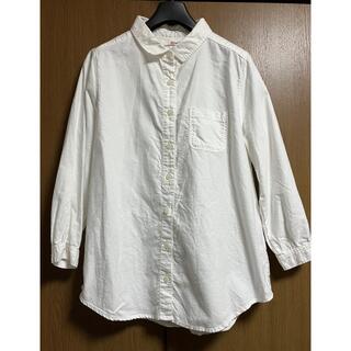 サンバレー(SUNVALLEY)の美品　sunvalley  七分袖　コットンシャツ(シャツ/ブラウス(長袖/七分))