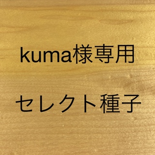 kuma様専用　セレクト種子　10袋(野菜)