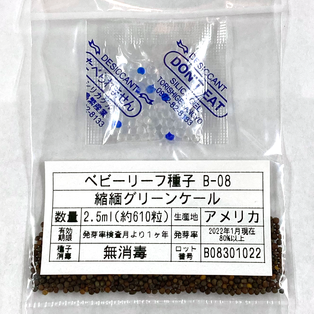 ベビーリーフ種子 B-08 縮緬グリーンケール 2.5ml 約610粒 x 2袋 食品/飲料/酒の食品(野菜)の商品写真