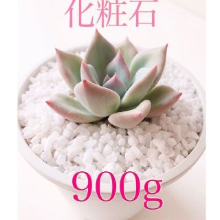 寒水石 (化粧石) 4mm❤900g❤純白色最高級寒水石　白　多肉　観葉　寒水砂(その他)