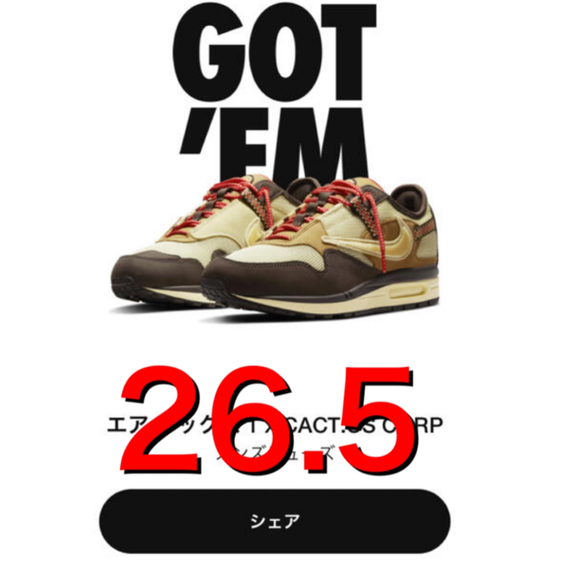 Nike Air Max 1 "CACT.US Brown"