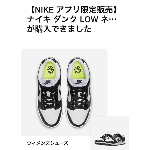 NIKE(ナイキ)のNIKE dunk low next nature 23.0 レディースの靴/シューズ(スニーカー)の商品写真